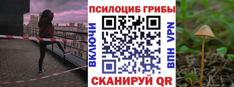 hydra Пустошка Галлюциногенные грибы мицелий